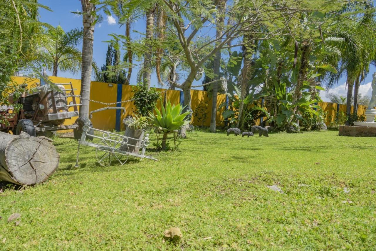 Hotel & Bungalows Las Palmas Villa Corona Zewnętrze zdjęcie